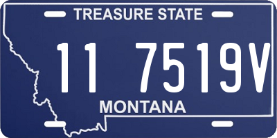 MT license plate 117519V