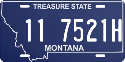 MT license plate 117521H