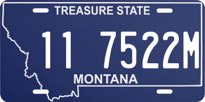 MT license plate 117522M