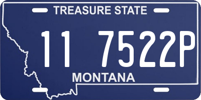 MT license plate 117522P