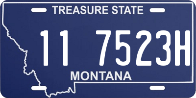 MT license plate 117523H