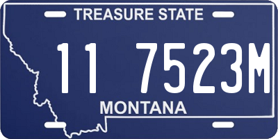 MT license plate 117523M