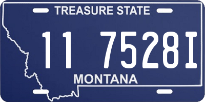 MT license plate 117528I