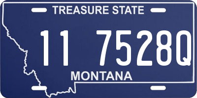 MT license plate 117528Q