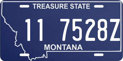 MT license plate 117528Z