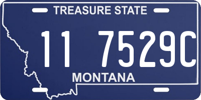 MT license plate 117529C