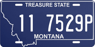 MT license plate 117529P