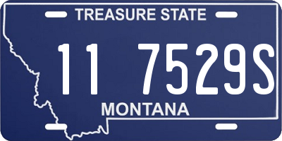 MT license plate 117529S