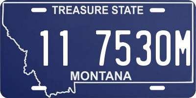 MT license plate 117530M