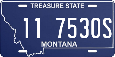 MT license plate 117530S