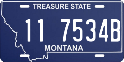 MT license plate 117534B