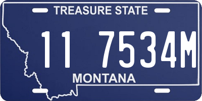 MT license plate 117534M