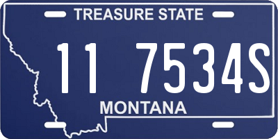 MT license plate 117534S