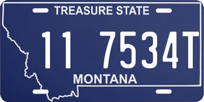 MT license plate 117534T