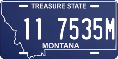 MT license plate 117535M