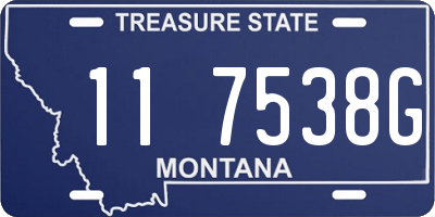 MT license plate 117538G