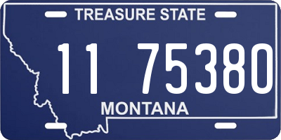 MT license plate 117538O