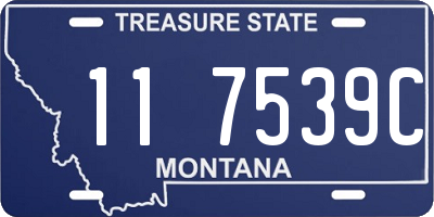 MT license plate 117539C