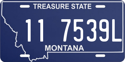 MT license plate 117539L