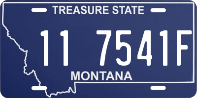 MT license plate 117541F