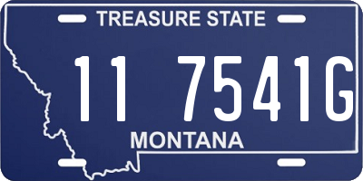 MT license plate 117541G