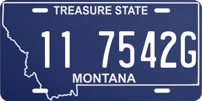 MT license plate 117542G