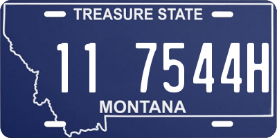 MT license plate 117544H