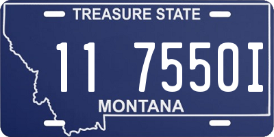 MT license plate 117550I