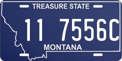 MT license plate 117556C