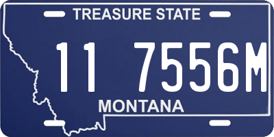 MT license plate 117556M