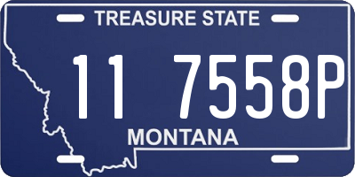 MT license plate 117558P