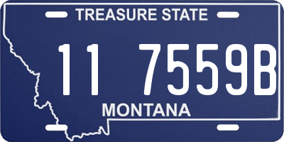 MT license plate 117559B