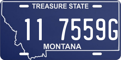 MT license plate 117559G