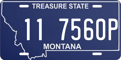 MT license plate 117560P