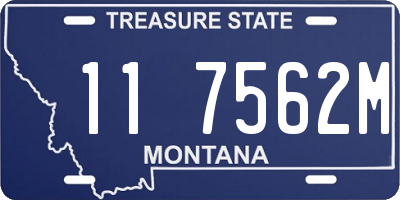 MT license plate 117562M