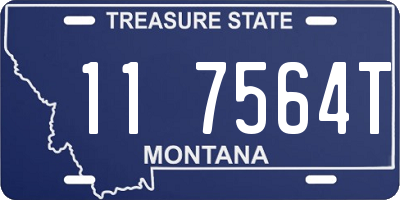 MT license plate 117564T