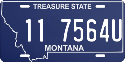 MT license plate 117564U