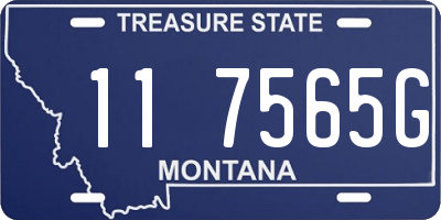 MT license plate 117565G