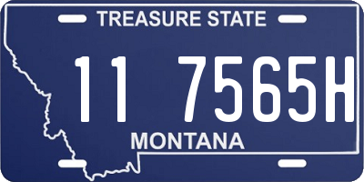 MT license plate 117565H