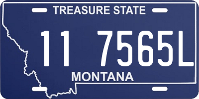 MT license plate 117565L