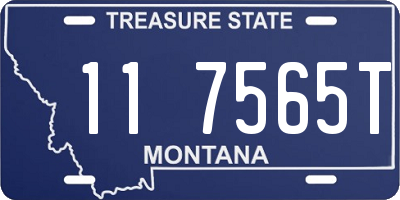 MT license plate 117565T