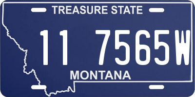 MT license plate 117565W