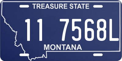 MT license plate 117568L