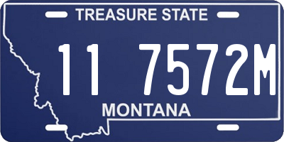 MT license plate 117572M