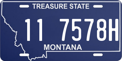 MT license plate 117578H