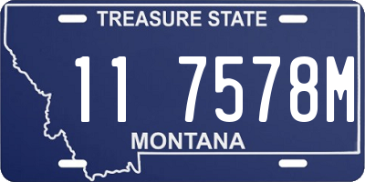 MT license plate 117578M