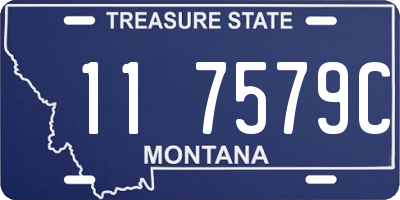 MT license plate 117579C