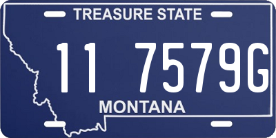 MT license plate 117579G