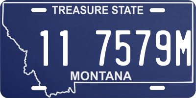 MT license plate 117579M