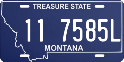 MT license plate 117585L